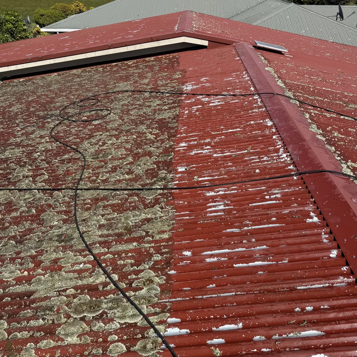 Heavily moss covered red tile roof before restoration