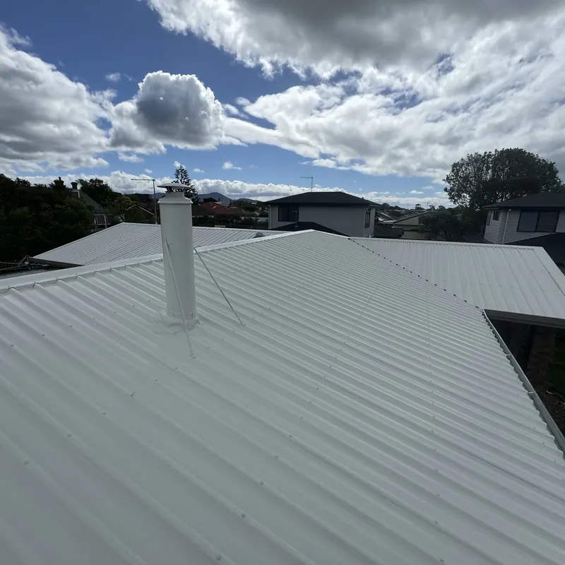Fresh white Colorbond rooftop